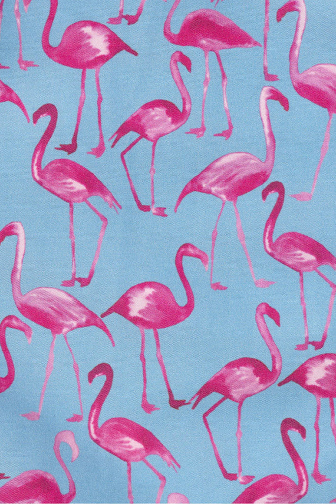 Swim Shorts - FLAMINGO Blue/Pink